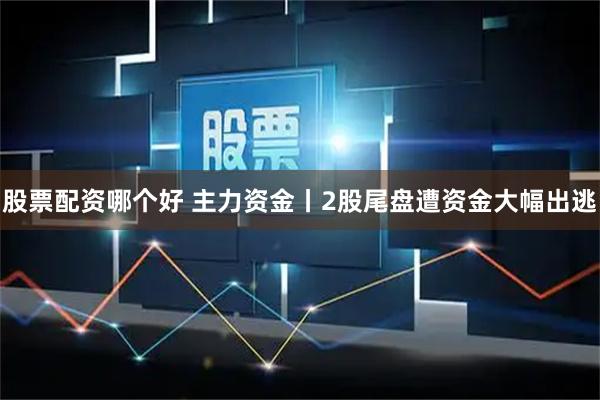 股票配资哪个好 主力资金丨2股尾盘遭资金大幅出逃