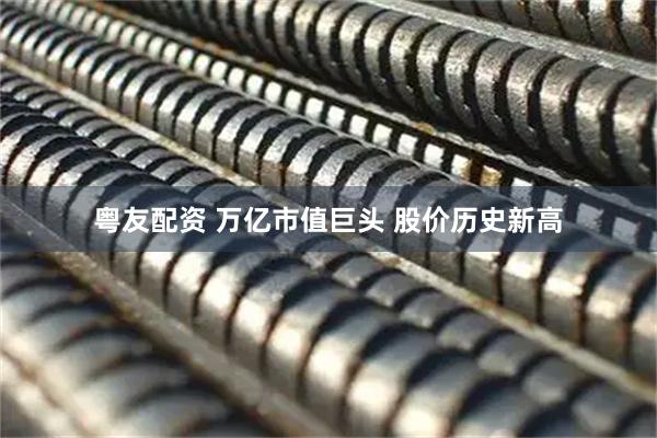 粤友配资 万亿市值巨头 股价历史新高